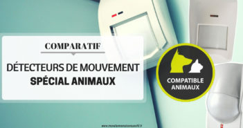 Comparatif des Détecteurs de Mouvements Compatibles Animaux Domestiques Comparatif des détecteurs de mouvement pour animaux domestiques